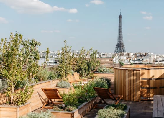 Brach Paris - Evok Collection 1