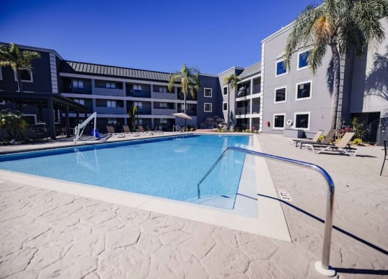La Quinta Inn by Wyndham Tampa Near Busch Gardens 1