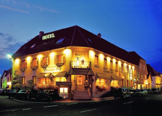 Hotel Hanauerhof 1