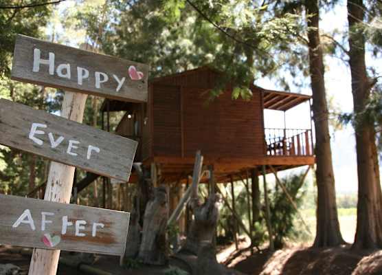 Vindoux Tree House Guest Farm & Spa 1