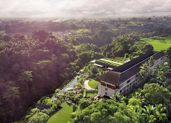 The Westin Resort & Spa Ubud, Bali 1