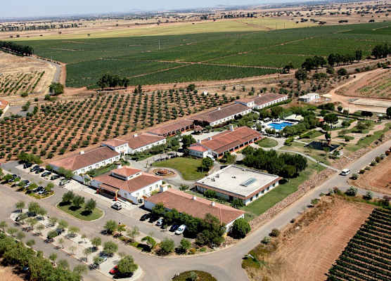 Vila Gale Alentejo Vineyard - Clube de Campo 1