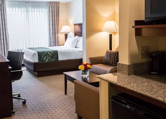 Comfort Suites University Area Notre Dame-South Bend 1