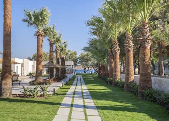 Regia Mare Beach Hotel & Spa Bodrum 1