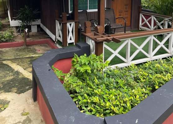 Coralview Bluestar Perhentian 1