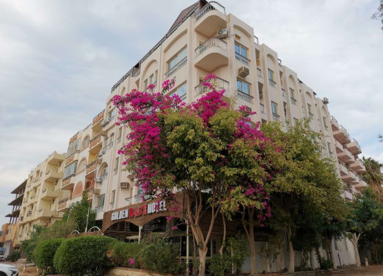 Golden Rose Hotel 1
