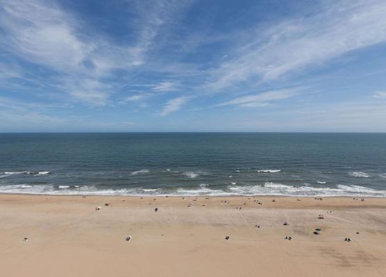 Wyndham Virginia Beach Oceanfront 1