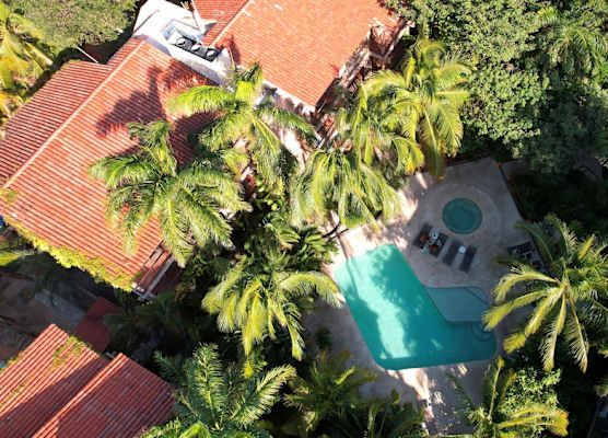 Tukan Hotel Playa del Carmen 1
