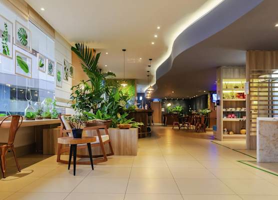 ibis Styles Curitiba Aeroporto 1