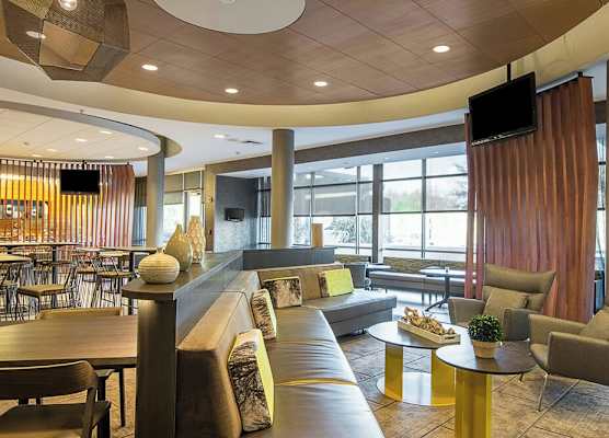 SpringHill Suites Tampa North/Tampa Palms 1