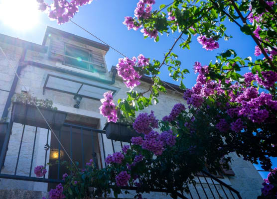 Villa Marino 1