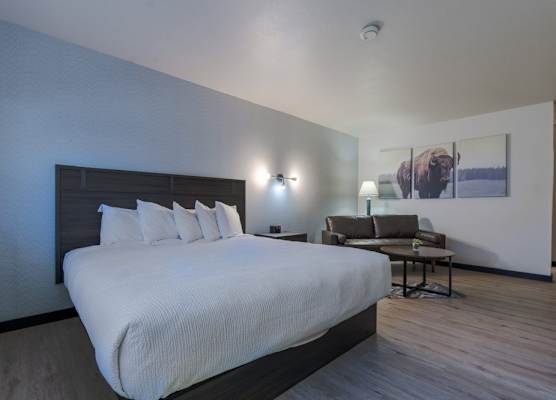 The Scout INN 1