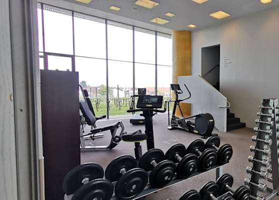 LOISIUM Wine & Spa Hotel Langenlois 1
