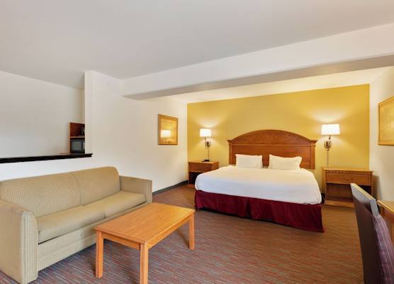 Orlando Palms 1