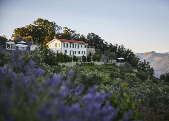 Villa Belvedere by Il Leccio Luxury Resort 1