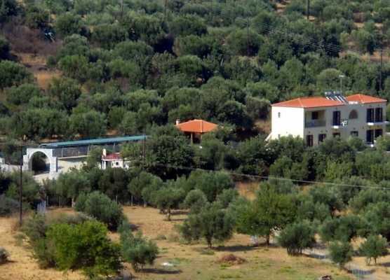 Domaine Papakonstantis 1