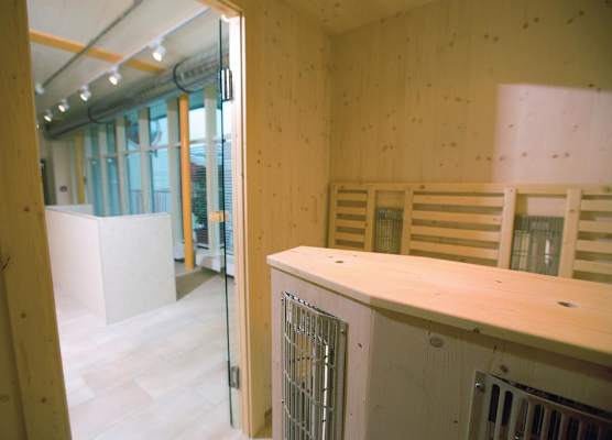 JUFA Hotel Veitsch 1