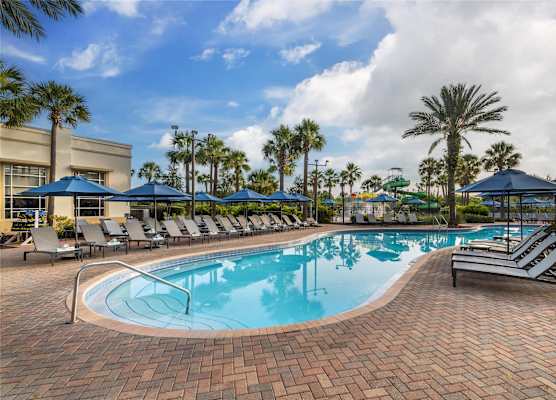Las Palmeras by Hilton Grand Vacations 1