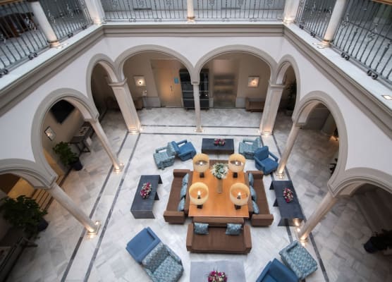 Petit Palace Marques Santa Ana 1