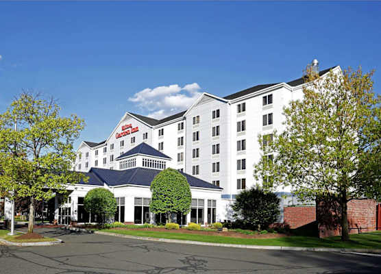 Hilton Garden Inn Springfield, MA 1