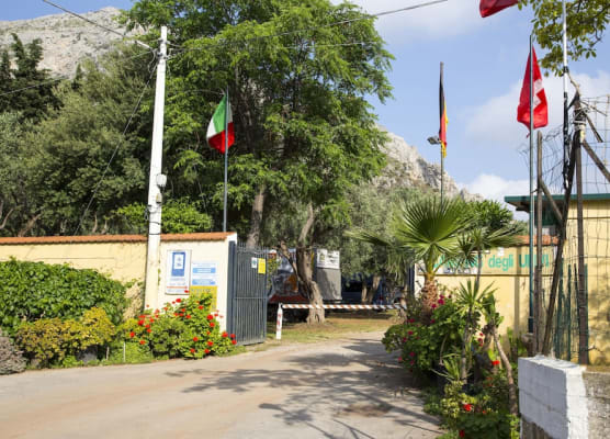 Camping Degli Ulivi 1