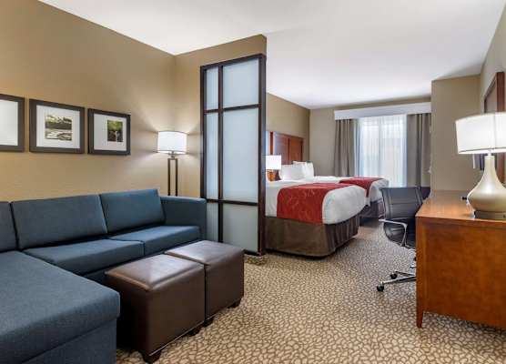 Comfort Suites Florence I-95 1