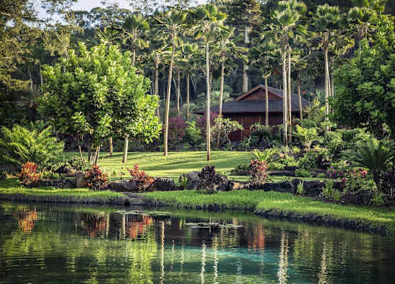 Sensei Lanai, A Four Seasons Resort 1