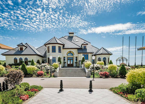Sierra Bungaloves 1