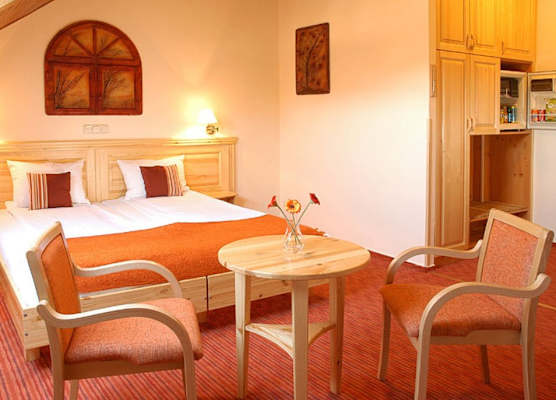 Hotel Manzard Panzio 1