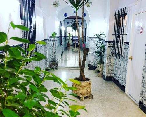 Sanvi Xerez Centro 1
