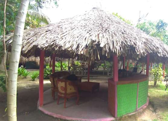 Eco Hotel Las Palmeras 1
