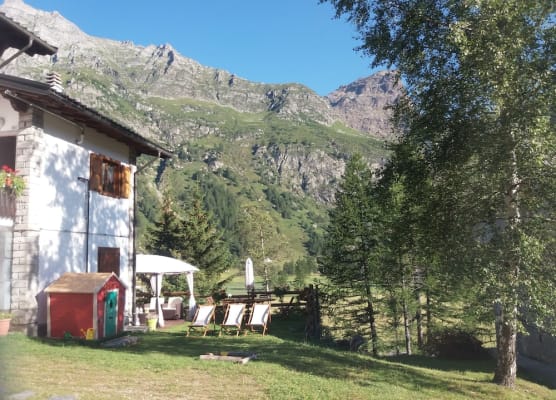 B&B Il Pino 1