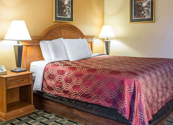 Econo Lodge Dalton West 1