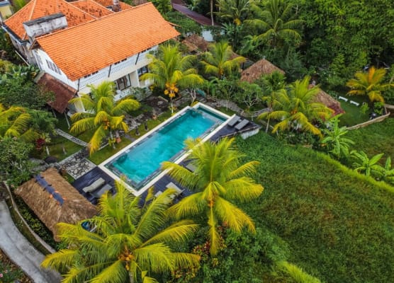 Ubud Sari Health Resort 1