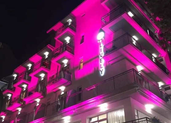 Lively Hotel 1