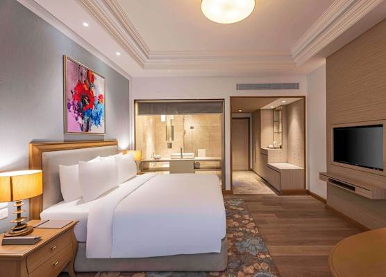 Park Plaza Jalandhar 1