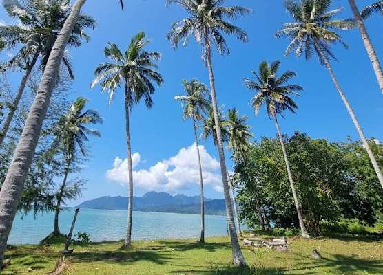 Coconut Beach Villa Langkawi 1