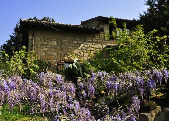 La Casa sulla Collina d'Oro 1