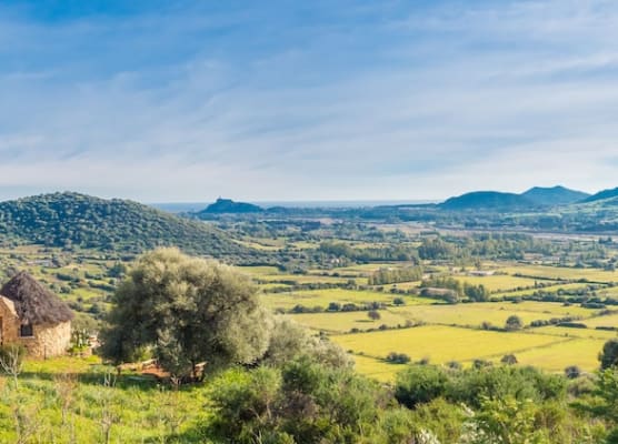Essenza Sardegna 1