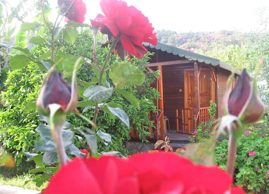 Ugur Pansiyon Bungalows 1