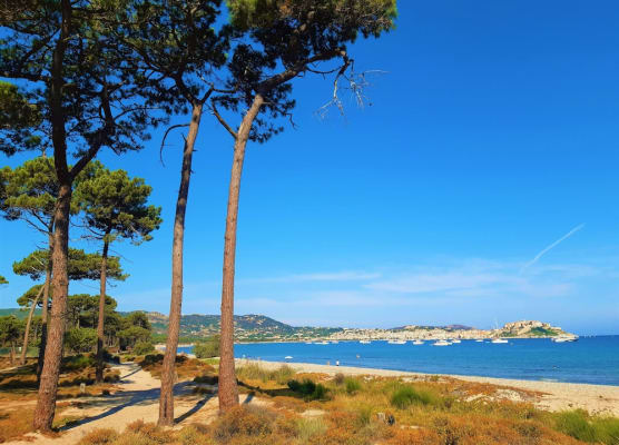 Camping Dolce Vita 1