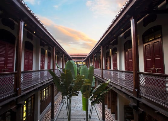 Seven Terraces 1