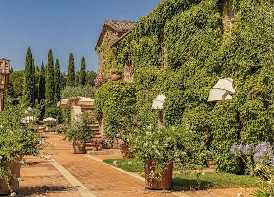 Agriturismo La Sovana 1