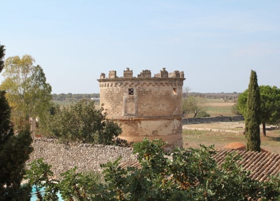 Masseria Nucci - Autentica Dimora Storica 1