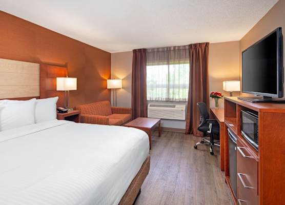 Canadas Best Value Inn-Richmond Hill 1