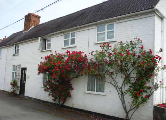 White Cottage Bed and Breakfast 1