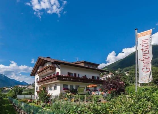 Guesthouse Pension Grafenstein 1