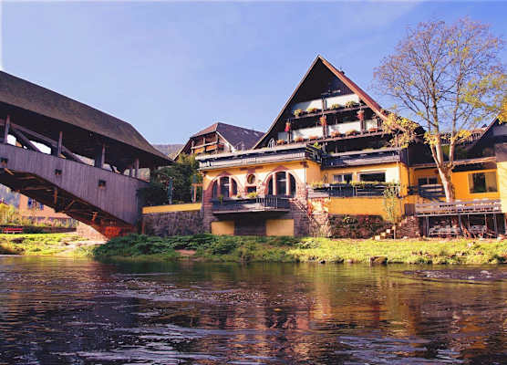 Das Waldhaus 1