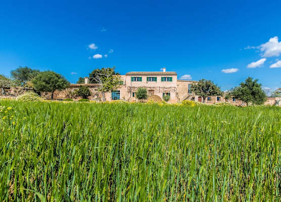 Finca Agroturismo Sa Cova den Borino 1