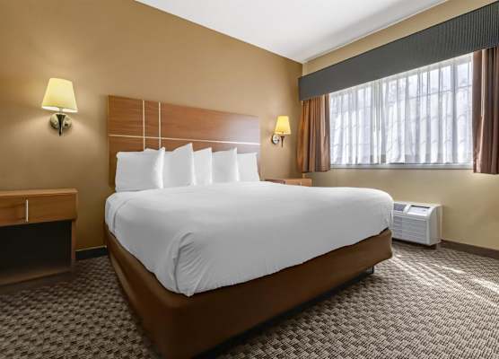 Best Western Plus Shamrock Inn & Suites 1